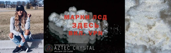 СК Вязьма
