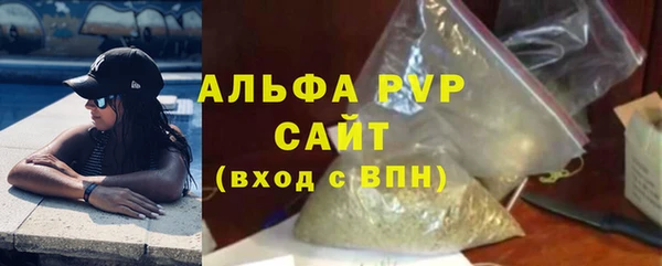СК Вязьма