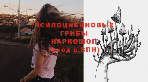 СК Вязьма
